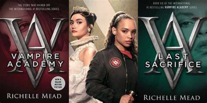 'Vampire Academy' Book Ending & Plot Summary