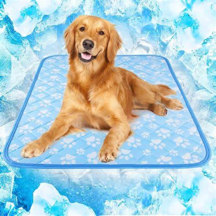 Aldi's Pet Cooling Mat Will Keep Your Dog Chill All Summer Long